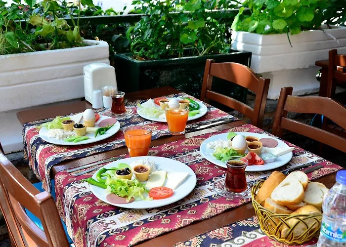 Sevin Bodrum