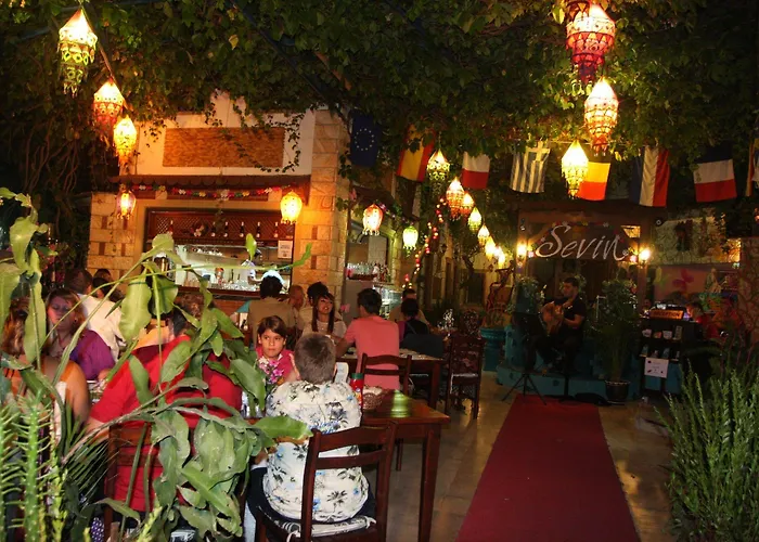 セヴィン ペンション 2*