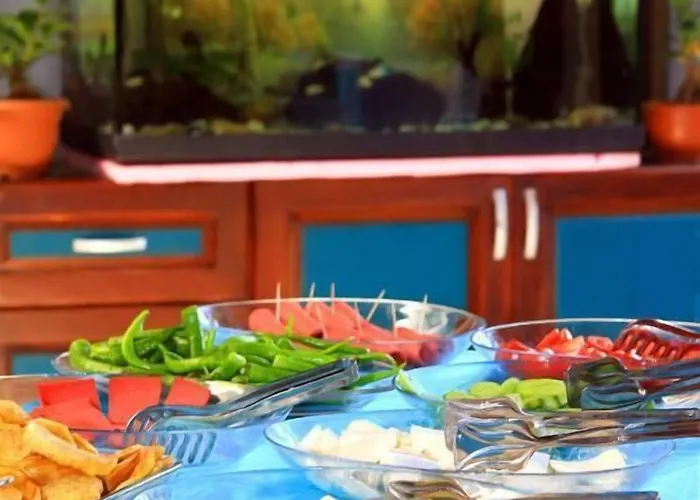 セヴィン ペンション 2* ボドルム