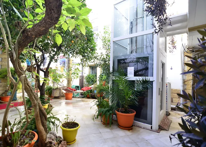 Sevin 2* Бодрум