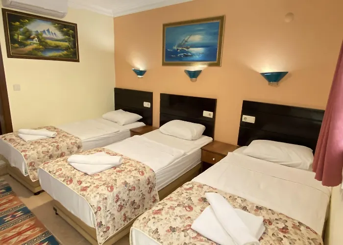 セヴィン ペンション 2*