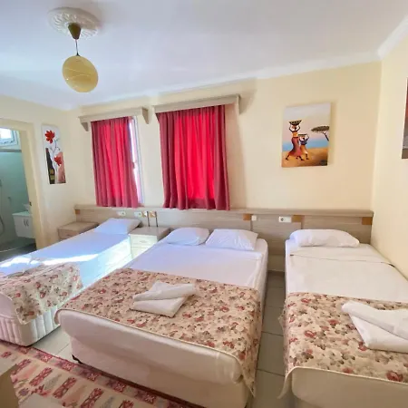Sevin Hotel 2*